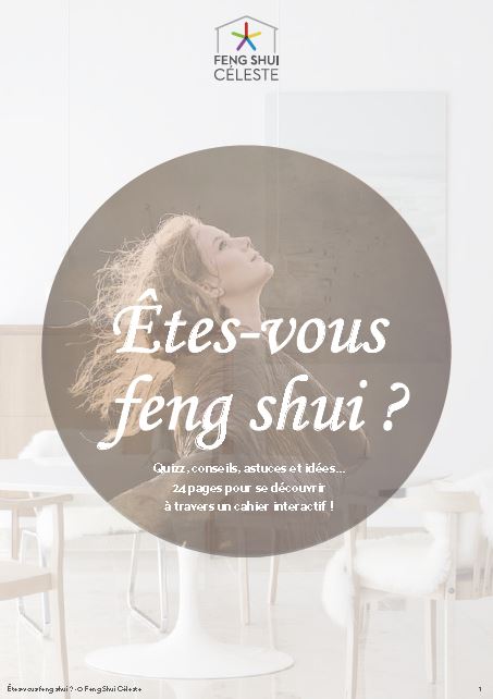 Stratégie commerciale et marketing Feng Shui Céleste