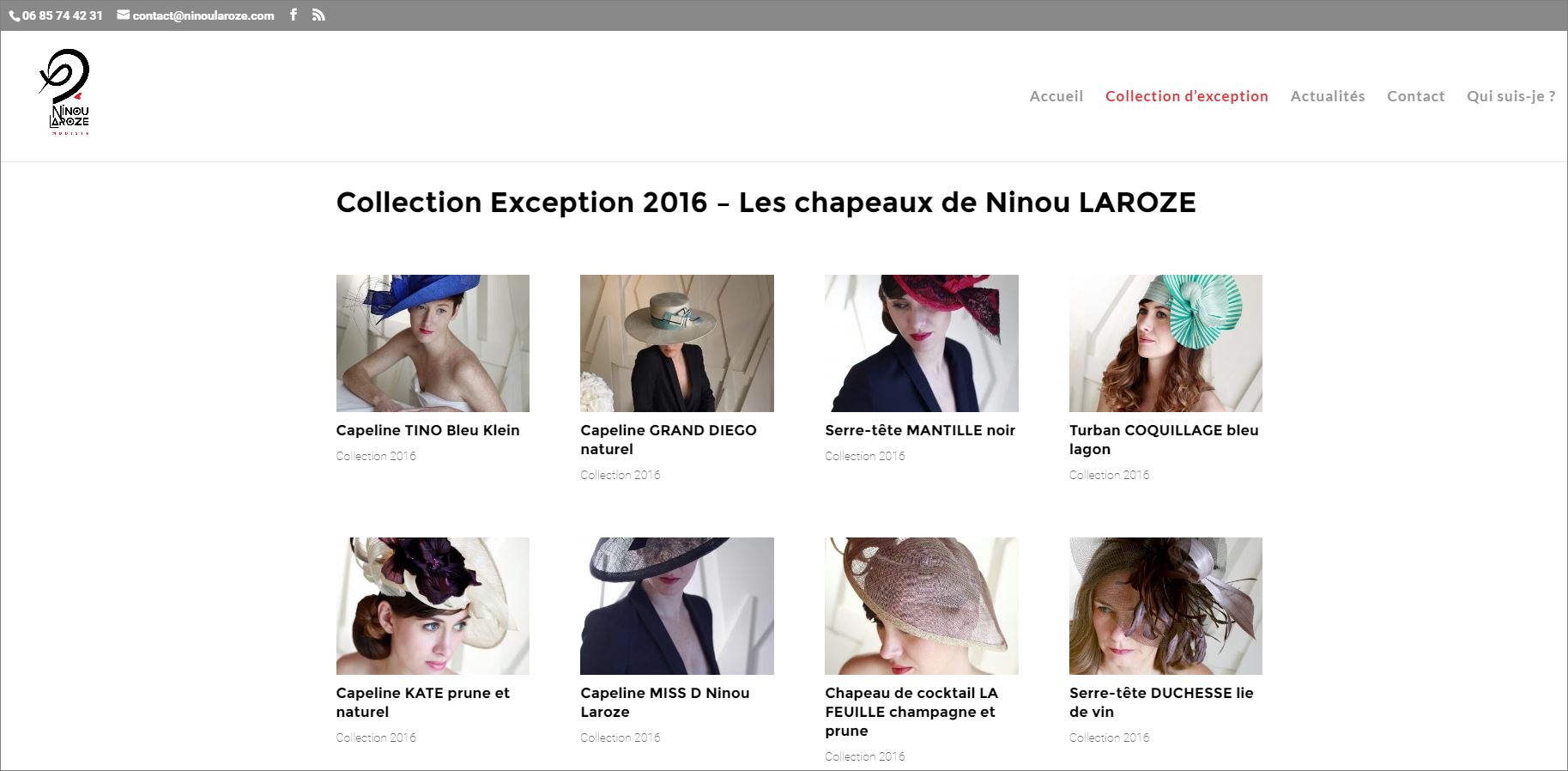 Création du site Ninou Laroze